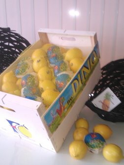 Kist citroenen