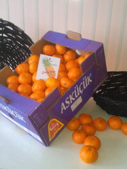 Kist mandarijnen