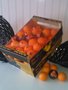 Kist-pers-sinaasappelen